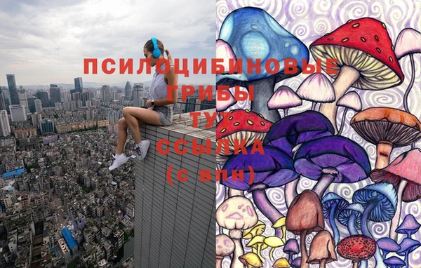 соль курить ск Алексеевка