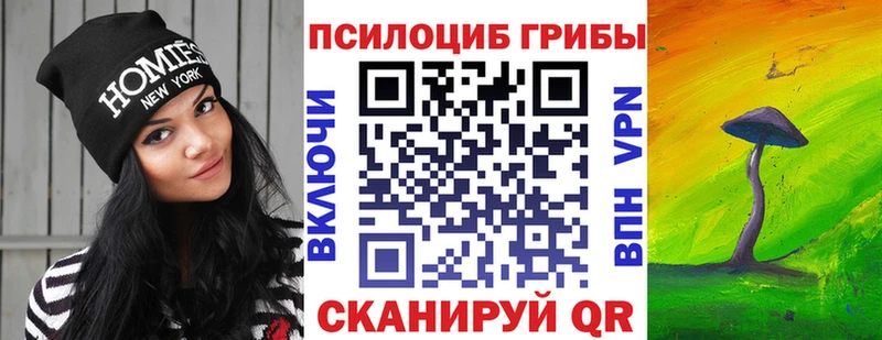 darknet телеграм  Уяр  Псилоцибиновые грибы Psilocybe 